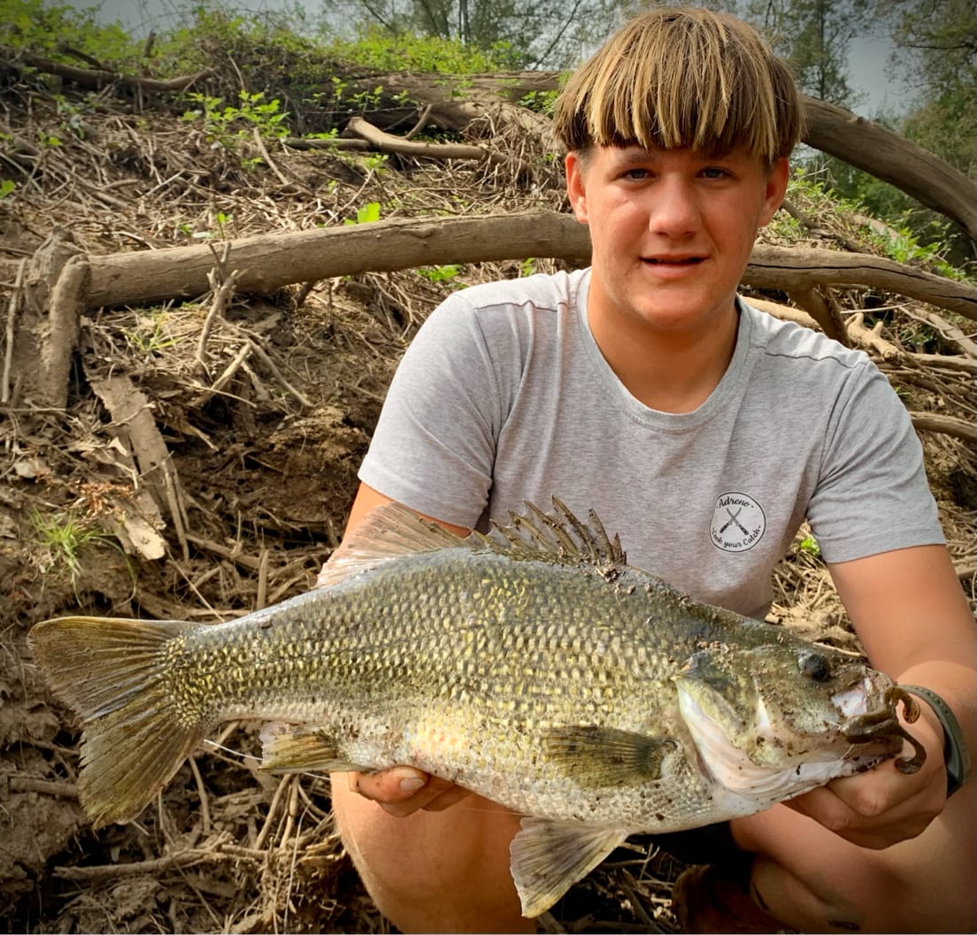 Max van Zyl Australian Bass Tuross River